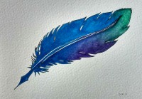 image of a colourful feather with a quill nib